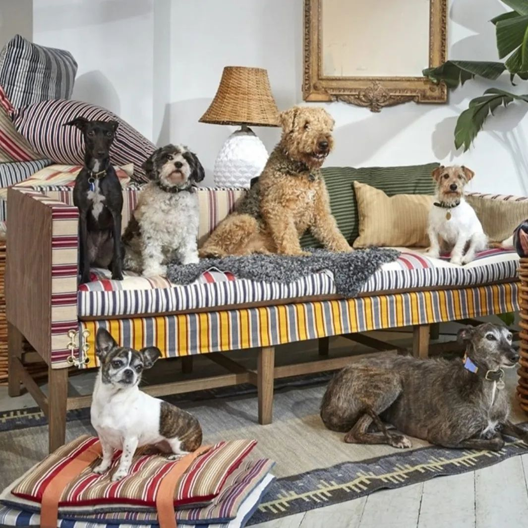 kutya-allat-textil-otthon-szoba