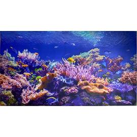Coral - Akvárium PVC falpanel