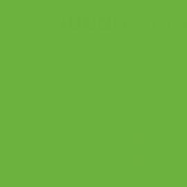 LEMON GREEN / fényes zöld citrom 45cm x 15m