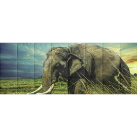 Elefánt-3 nyomtatott műbőr falvédő