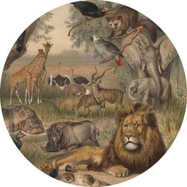 Animals of Africa - Afrika állatai tapéta, több méretben