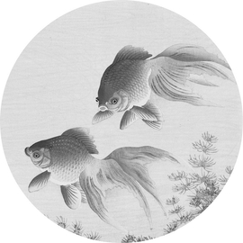 Two Goldfish - Aranyhalak tapéta, fekete-fehér, több méretben