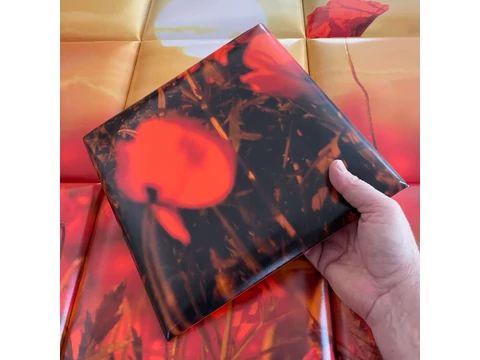 Pipacsok modern varázsa a falon