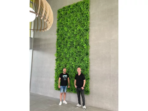 Bemutatjuk a Modul Műnövény Falak Egyedi Alkalmazását a Váci Greens Irodaházban