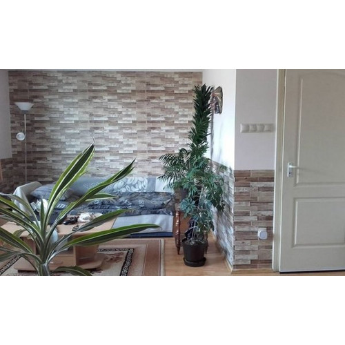 FLEXWALL PVC falpanel Dutch Oak holland tölgy barna 98x48 cm, falburkolat