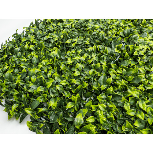 GreenWall Mesterséges Növényfal Panel, 1 m² (Aura) | Gondozásmentes Zöldfal Kültérre és Beltérre - UV-stabil