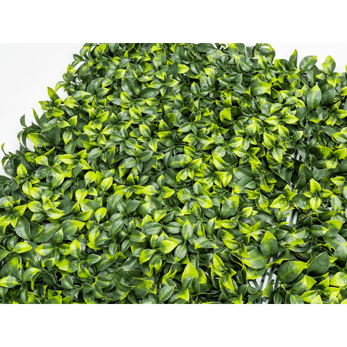 GreenWall Mesterséges Növényfal Panel, 1 m² (Aura) | Gondozásmentes Zöldfal Kültérre és Beltérre - UV-stabil