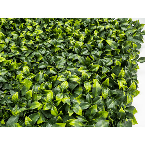 GreenWall Mesterséges Növényfal Panel, 1 m² (Aura) | Gondozásmentes Zöldfal Kültérre és Beltérre - UV-stabil