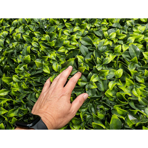GreenWall Mesterséges Növényfal Panel, 1 m² (Aura) | Gondozásmentes Zöldfal Kültérre és Beltérre - UV-stabil