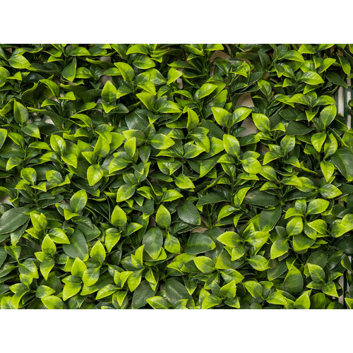 GreenWall Mesterséges Növényfal Panel, 1 m² (Aura) | Gondozásmentes Zöldfal Kültérre és Beltérre - UV-stabil