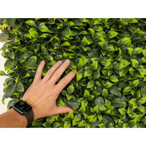 GreenWall Mesterséges Növényfal Panel, 1 m² (Aura) | Gondozásmentes Zöldfal Kültérre és Beltérre - UV-stabil