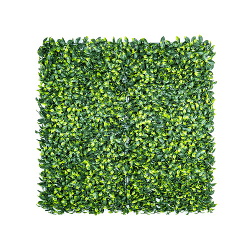 GreenWall Mesterséges Növényfal Panel, 1 m² (Aura) | Gondozásmentes Zöldfal Kültérre és Beltérre - UV-stabil
