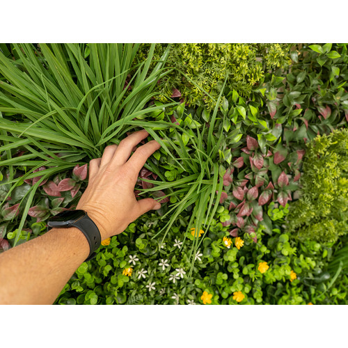 GreenWall Mesterséges Növényfal Panel, 1 m² (Spirit) | Gondozásmentes Zöldfal Kültérre és Beltérre - UV-stabil GreenWall Mesterséges Növényfal Panel, 1 m² (Spirit) | Gondozásmentes Zöldfal Kültérre és Beltérre - UV-stabil