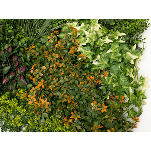 GreenWall Mesterséges Növényfal Panel, 1 m² (Crimson) | Gondozásmentes Zöldfal Kültérre és Beltérre - UV-stabil GreenWall Mesterséges Növényfal Panel, 1 m² (Crimson) | Gondozásmentes Zöldfal Kültérre és Beltérre - UV-stabil
