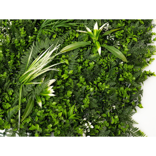 GreenWall Mesterséges Növényfal Panel, 1 m² (Lush) | Gondozásmentes Zöldfal Kültérre és Beltérre - UV-stabil GreenWall Mesterséges Növényfal Panel, 1 m² (Lush) | Gondozásmentes Zöldfal Kültérre és Beltérre - UV-stabil