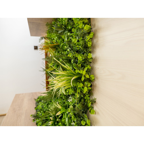 GreenWall Mesterséges Növényfal Panel, 1 m² (Zen) | Gondozásmentes Zöldfal Kültérre és Beltérre - UV-stabil