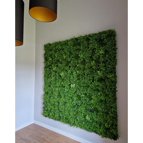 GD136 50x100 cm prémium egyedi kézzel készített élethű műanyag növényfal panel GD136 50x100 cm prémium egyedi kézzel készített élethű műanyag növényfal panel