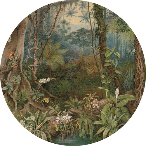 In the Jungle - Dzsungelben tapéta