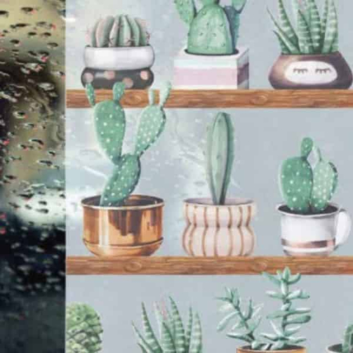 14150 - Cactus 3D kaktuszos sztatikus ablakfólia, üvegre/ablakra 67,5 cm x 15 m