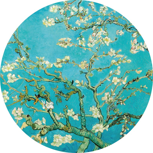 Almond Blossom - Mandulavirág tapéta