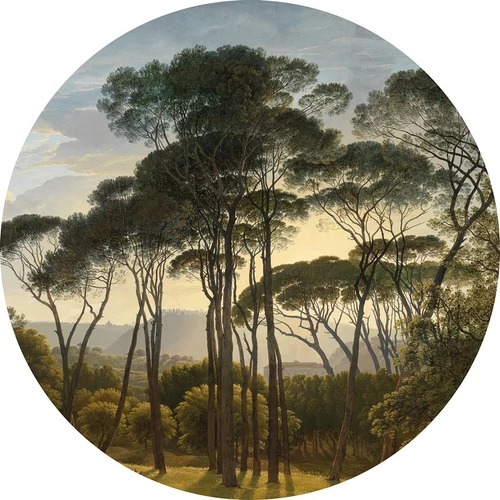 Umbrella Pines in Italy - Esernyő fenyők tapéta, több méretben