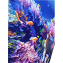 Coral - Akvárium PVC falpanel