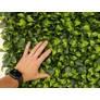 Kép 11/11 - GreenWall Mesterséges Növényfal Panel, 1 m² (Aura) | Gondozásmentes Zöldfal Kültérre és Beltérre - UV-stabil