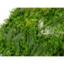 Kép 6/13 -  GreenWall Mesterséges Növényfal Panel, 1 m² (City) | Gondozásmentes Zöldfal Kültérre és Beltérre - UV-stabil