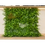 Kép 10/13 -  GreenWall Mesterséges Növényfal Panel, 1 m² (City) | Gondozásmentes Zöldfal Kültérre és Beltérre - UV-stabil
