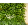 Kép 12/13 -  GreenWall Mesterséges Növényfal Panel, 1 m² (City) | Gondozásmentes Zöldfal Kültérre és Beltérre - UV-stabil GreenWall Mesterséges Növényfal Panel, 1 m² (City) | Gondozásmentes Zöldfal Kültérre és Beltérre - UV-stabil