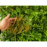 Kép 7/13 -  GreenWall Mesterséges Növényfal Panel, 1 m² (City) | Gondozásmentes Zöldfal Kültérre és Beltérre - UV-stabil GreenWall Mesterséges Növényfal Panel, 1 m² (City) | Gondozásmentes Zöldfal Kültérre és Beltérre - UV-stabil