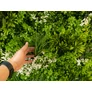Kép 2/13 -  GreenWall Mesterséges Növényfal Panel, 1 m² (City) | Gondozásmentes Zöldfal Kültérre és Beltérre - UV-stabil
