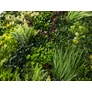 Kép 3/9 - GreenWall Mesterséges Növényfal Panel, 1 m² (Eden-1) | Gondozásmentes Zöldfal Kültérre és Beltérre - UV-stabil