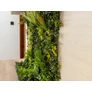 Kép 7/9 - GreenWall Mesterséges Növényfal Panel, 1 m² (Eden-1) | Gondozásmentes Zöldfal Kültérre és Beltérre - UV-stabil
