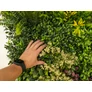 Kép 8/9 - GreenWall Mesterséges Növényfal Panel, 1 m² (Eden-1) | Gondozásmentes Zöldfal Kültérre és Beltérre - UV-stabil