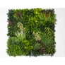 Kép 1/11 - GreenWall mesterséges növényfal panel, 1 m², UV-stabil zöldfal