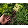 Kép 4/11 - GreenWall Mesterséges Növényfal Panel, 1 m² (Eden-3) | Gondozásmentes Zöldfal Kültérre és Beltérre - UV-stabil
