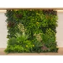 Kép 5/11 - GreenWall Mesterséges Növényfal Panel, 1 m² (Eden-3) | Gondozásmentes Zöldfal Kültérre és Beltérre - UV-stabil