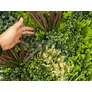 Kép 7/11 - GreenWall Mesterséges Növényfal Panel, 1 m² (Eden-3) | Gondozásmentes Zöldfal Kültérre és Beltérre - UV-stabil