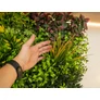Kép 9/11 - GreenWall Mesterséges Növényfal Panel, 1 m² (Eden-3) | Gondozásmentes Zöldfal Kültérre és Beltérre - UV-stabil