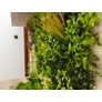 Kép 10/11 - GreenWall Mesterséges Növényfal Panel, 1 m² (Eden-3) | Gondozásmentes Zöldfal Kültérre és Beltérre - UV-stabil