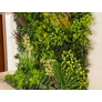 Kép 11/11 - GreenWall Mesterséges Növényfal Panel, 1 m² (Eden-3) | Gondozásmentes Zöldfal Kültérre és Beltérre - UV-stabil