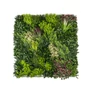 Kép 1/8 - GreenWall mesterséges növényfal panel, 1 m², UV-stabil zöldfal