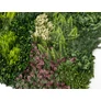 Kép 3/8 - GreenWall Mesterséges Növényfal Panel, 1 m² (Fern) | Gondozásmentes Zöldfal Kültérre és Beltérre - UV-stabil