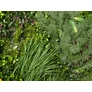 Kép 4/10 - GreenWall Mesterséges Növényfal Panel, 1 m² (Spirit) | Gondozásmentes Zöldfal Kültérre és Beltérre - UV-stabil