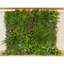 Kép 7/10 - GreenWall Mesterséges Növényfal Panel, 1 m² (Spirit) | Gondozásmentes Zöldfal Kültérre és Beltérre - UV-stabil