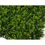 Kép 2/8 - GreenWall Mesterséges Növényfal Panel, 1 m² (Clover) | Gondozásmentes Zöldfal Kültérre és Beltérre - UV-stabil