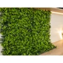 Kép 5/8 - GreenWall Mesterséges Növényfal Panel, 1 m² (Clover) | Gondozásmentes Zöldfal Kültérre és Beltérre - UV-stabil