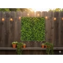 Kép 8/8 - GreenWall Mesterséges Növényfal Panel, 1 m² (Clover) | Gondozásmentes Zöldfal Kültérre és Beltérre - UV-stabil