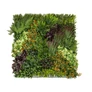 Kép 1/8 - GreenWall mesterséges növényfal panel, 1 m², UV-stabil zöldfal